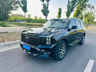 GAC Trumpchi GS8 2022