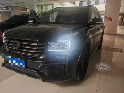 GAC Trumpchi GS8 2021