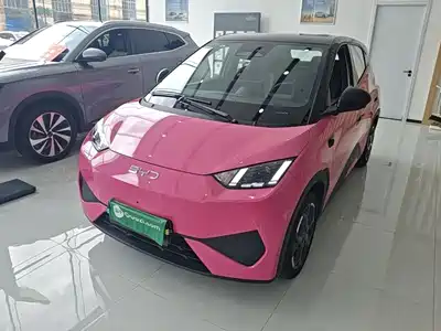 BYD Seagull 2025