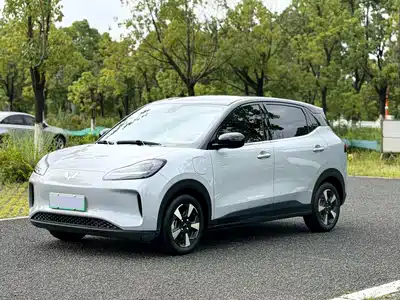 Wuling Motors Binguo PLUS 2024