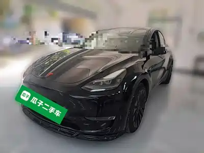Tesla Model Y 2021