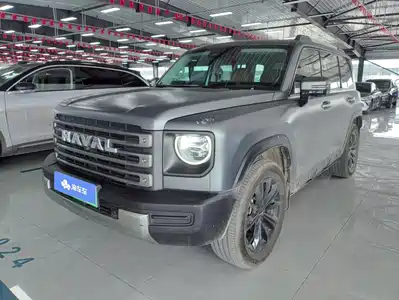 Haval Meng Long NEV 2025