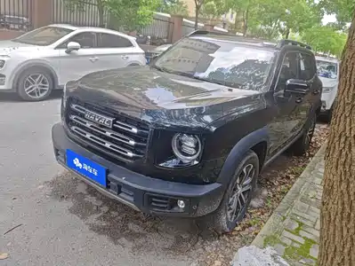 Haval Big Dog 2021