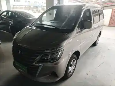 Dongfeng Fengxing Lingzhi 2025