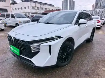 Venucia Big V 2023