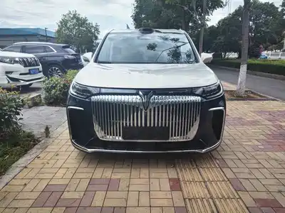 Voyah Auto Dreamer 2024