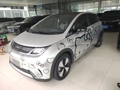 BYD Dolphin 2024