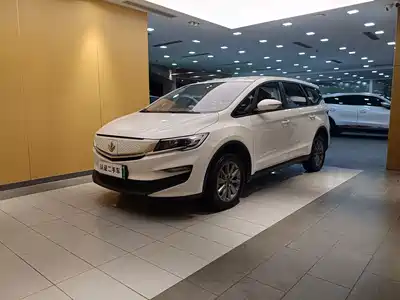Ruilan Auto Maple 80v 2021