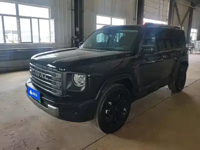 Haval Meng Long NEV 2025