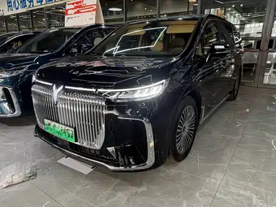 Voyah Auto Dreamer 2024
