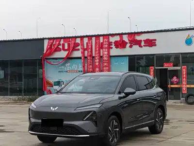 Wuling Motors Xingguang S 2024