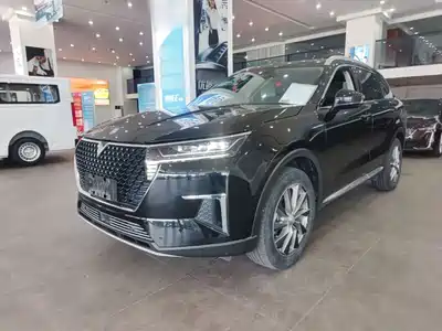 Venucia Star 2023