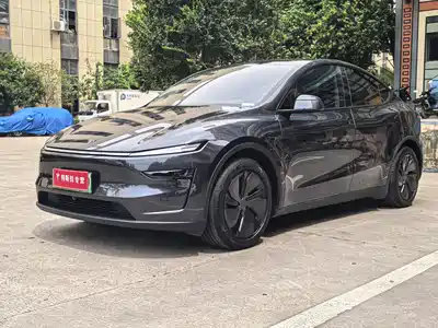Tesla Model Y 2025
