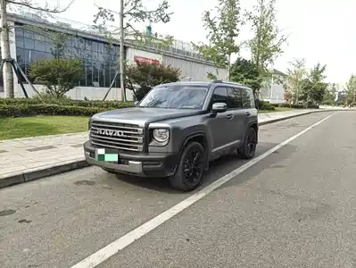 Haval Meng Long NEV 2024