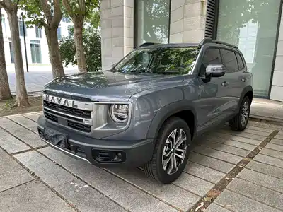Haval Big Dog 2024