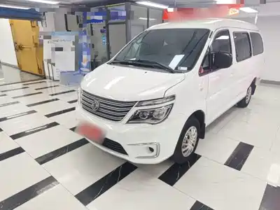 Dongfeng Fengxing Lingzhi 2019