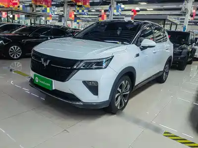 Wuling Motors Xingchen 2023