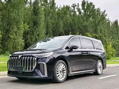 Voyah Auto Dreamer 2024