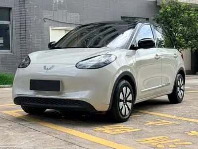 Wuling Motors Bingo 2025