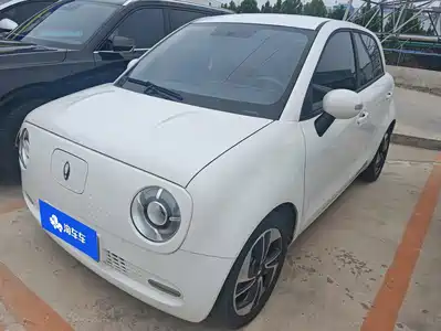 Ora Black Cat 2022