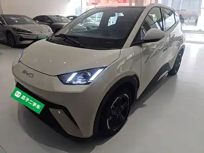 BYD Seagull 2024