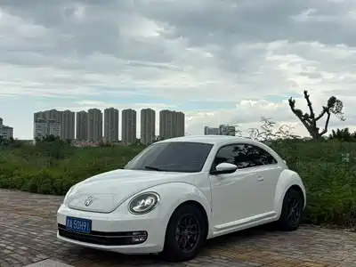 Volkswagen Beetle 2014