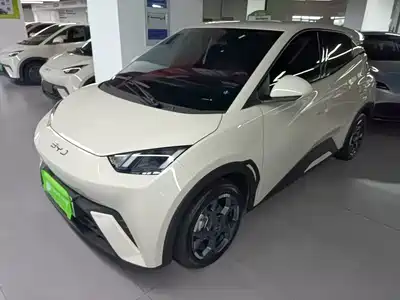 BYD Seagull 2025