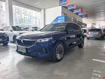 Voyah Auto FREE 2023