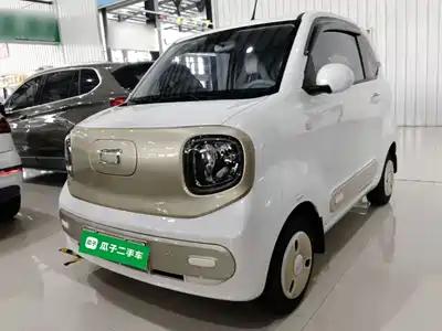 Besturn Pony 2024
