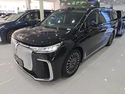Voyah Auto Dreamer 2025