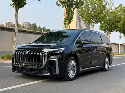 Voyah Auto Dreamer 2025