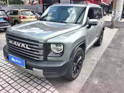 Haval Meng Long NEV 2024