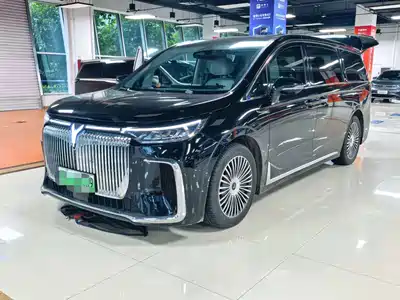 Voyah Auto Dreamer 2024
