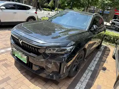 Voyah Auto FREE 2023