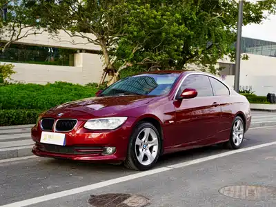 BMW 3 Series (Import) 2010