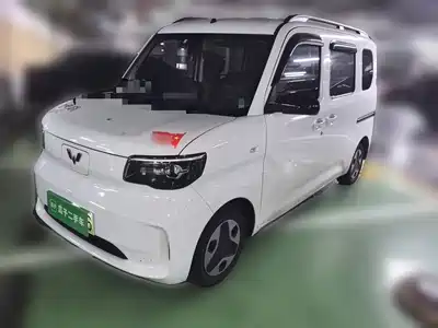 Wuling Motors Zhiguang NEV 2025
