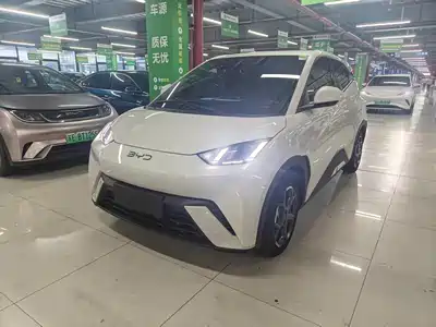 BYD Seagull 2024