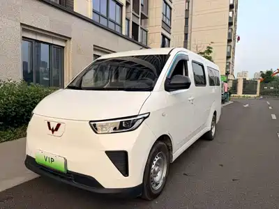 Wuling Motors Yangguang 2024