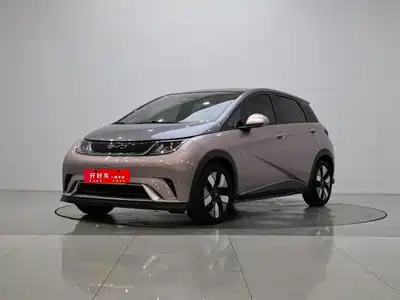 BYD Dolphin 2022