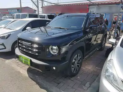 Haval Big Dog 2020