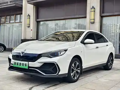 Venucia D60EV 2022