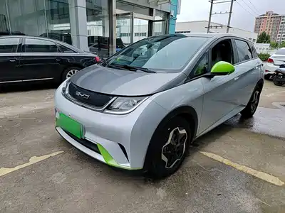 BYD Dolphin 2022