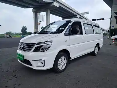 Dongfeng Fengxing Lingzhi 2019