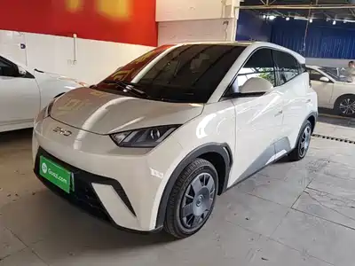 BYD Seagull 2025