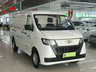 Foton Times EV6 2024