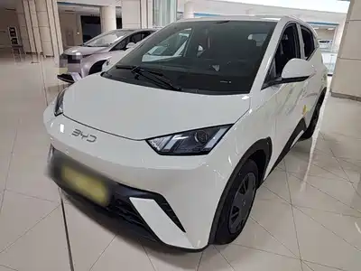 BYD Seagull 2025