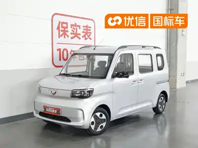 Wuling Motors Zhiguang NEV 2025