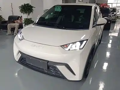 BYD Seagull 2024