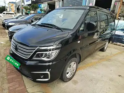 Dongfeng Fengxing Lingzhi 2021