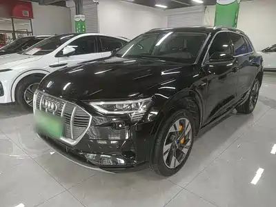 Audi e-tron (Import) 2020